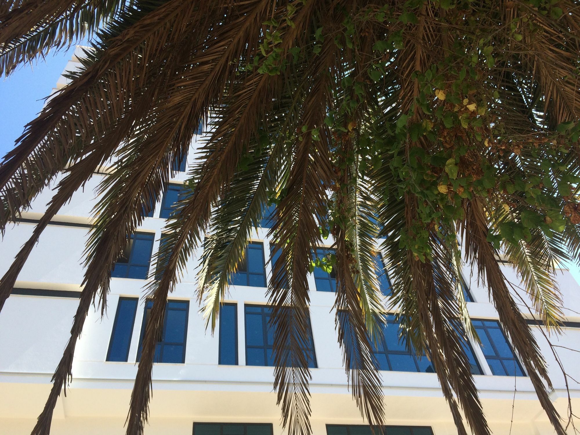 Aselia Hotel Trabzon Luaran gambar